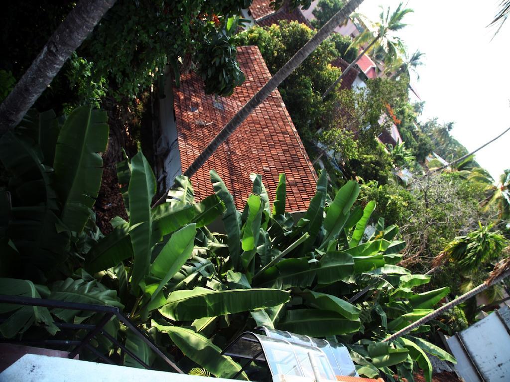Aaron'S Homestay Kochi Ngoại thất bức ảnh